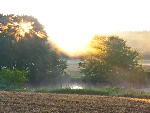 United Kingdom Gardeners Embrace Sustainable Landscapes: Forest Gardens Offer Eco-Friendly Future