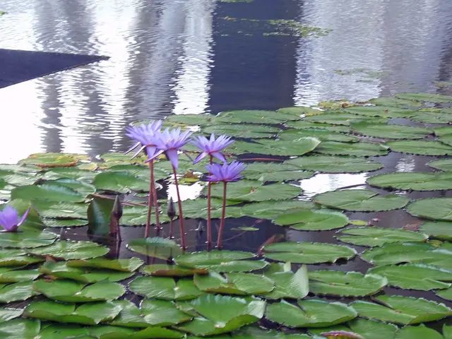 Revamped Shower Greenery: 6 Plants to Turn a Mundane Bathroom into a Tropical Oasis