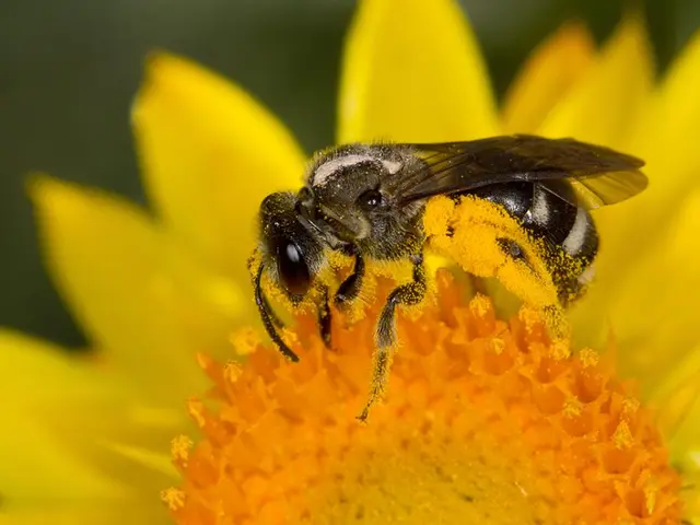 Hue the critters from the Pikmin videogame series using printable coloring pages available for free...