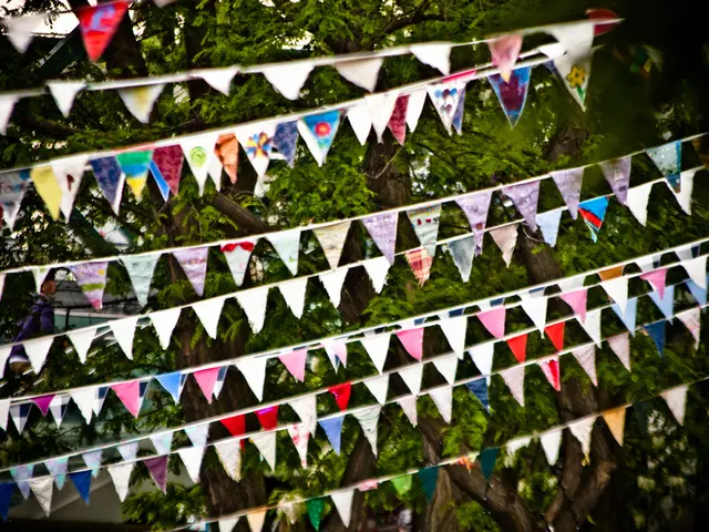 Sharpening Components for Bonsai Care: Polishing Your Tree's Cutting Edge