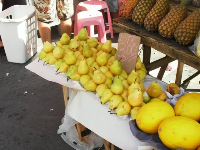 Life's Simplicity Encapsulated: A Few Ripe Plums Reflecting My Mexican Experience