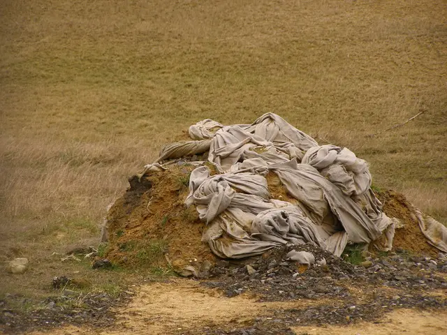 Mastering the Art of Landscape Fabric Selection for Your Garden Haven