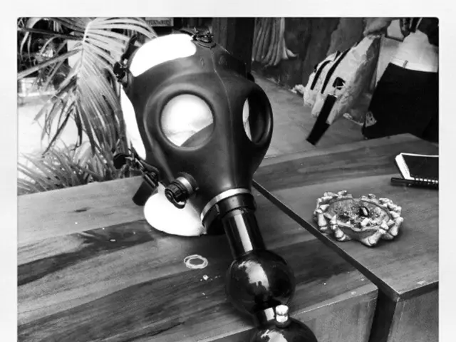 Houseplants can play a role in regulating home temperature, though the effect can be complex; these...