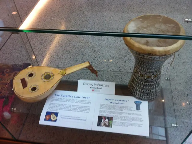 Correct and Safeguard Vinyl Records from Distortion with Ease