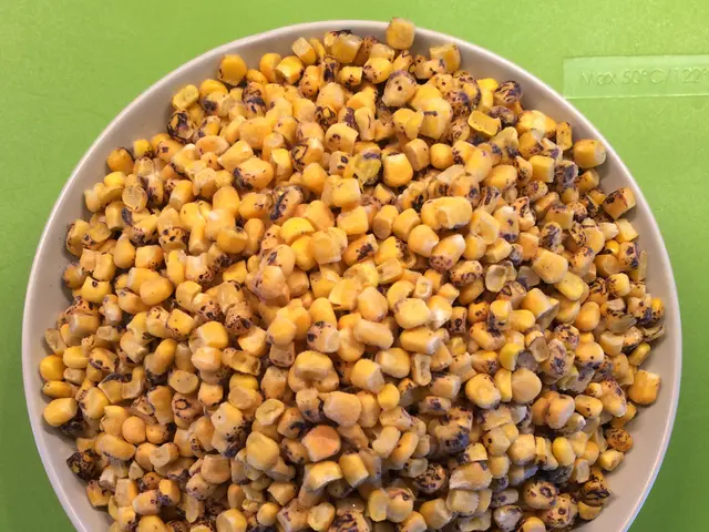 Method and Timing for Collecting Sweet Pea Seeds - Save Seeds Immediately to Cultivate More...