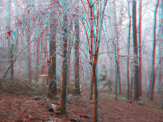 Boxwood Growth Height: Indispensable Details for Garden Enthusiasts