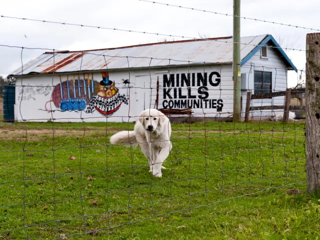 Navigating Adult Responsibilities Can Be Tough, Yet Your Domestic Insurance Should Remain...