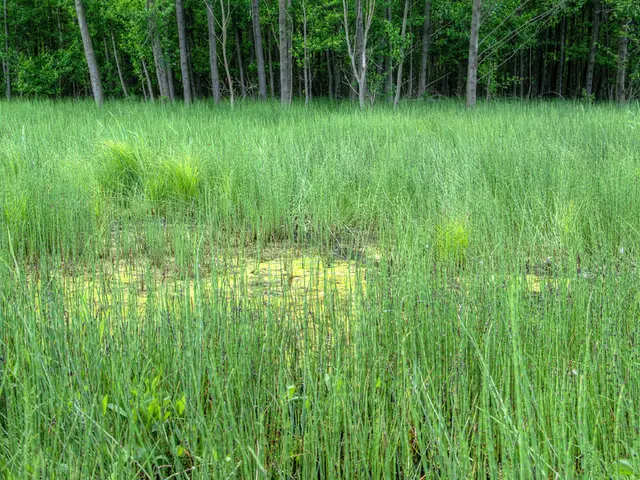 Farm walk at FarmED, Oxfordshire showcasing agricultural supply chain operations