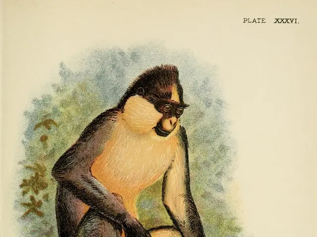 Securing a Monkey's Fist Knot: A Step-by-Step Guide