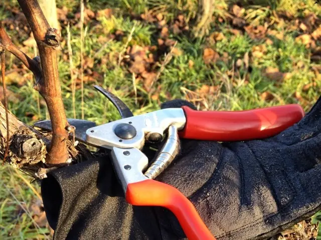 What is the appropriate time for lawn mowing?