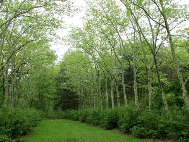 Farm tour led by Mill Barton