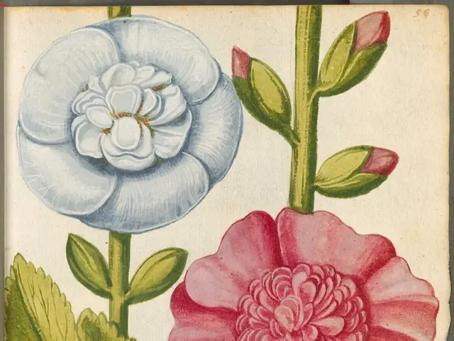 Independence Day Celebration Call: JSW Paints Encourages Public to Embrace Colors in a Novel Manner