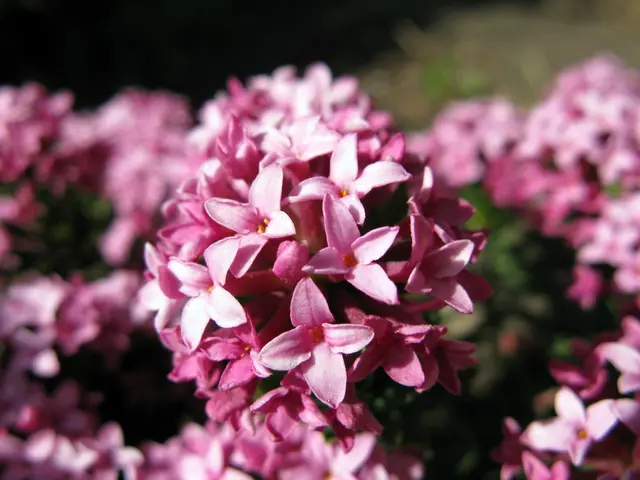 For those who value their home's ambiance and style, these 25 Target products are tailored to your...