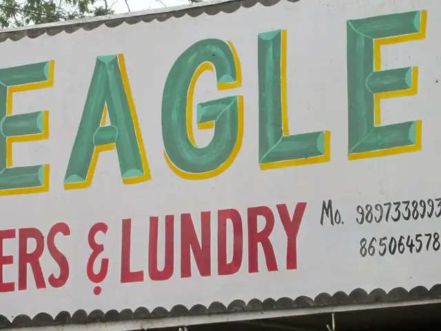 Placement Considerations for Your Money Tree: Insights from a Feng Shui Expert on Promoting Harmony...