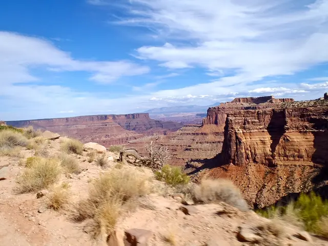 Watch Out for Harmful Pests and Ailments in Shrubs