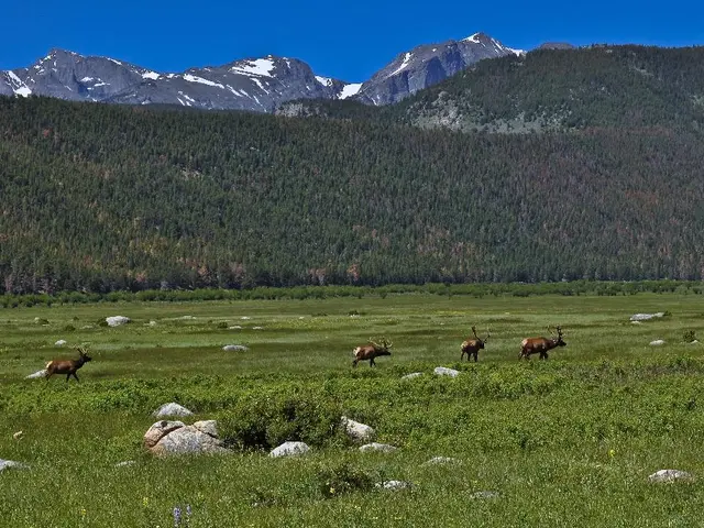 Earth's Unifying Network