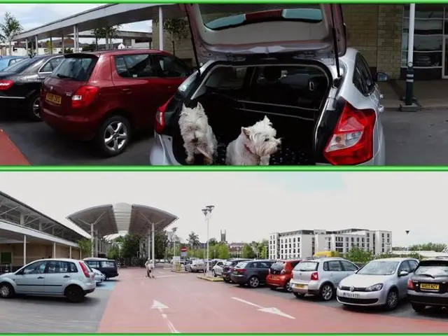 Rebuilt from the ashes: The Story of Tierpark, the People's Zoo