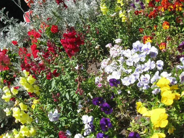 Moody Maroon Flora Highlights: Exploring 8 Intense Burgundy Blossoms for a Somber Landscape Garden