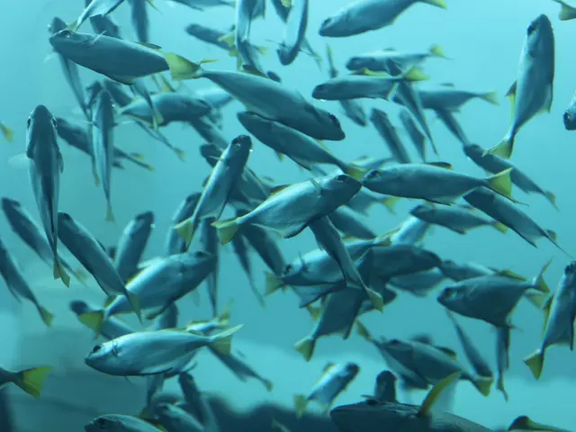 Uncovering the Secret: Unraveling the Mystery