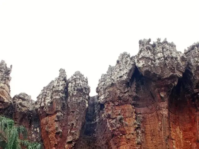 Competing Home and Garden Essentials: Determining the top-tier Home Improvement Item