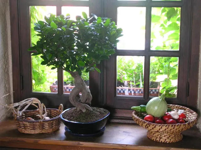 Method for Effortlessly Storing Fresh Herbs Within Reach