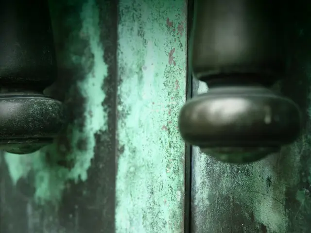 Criminals Grant Compassion to Specific Targets During Theft Operations