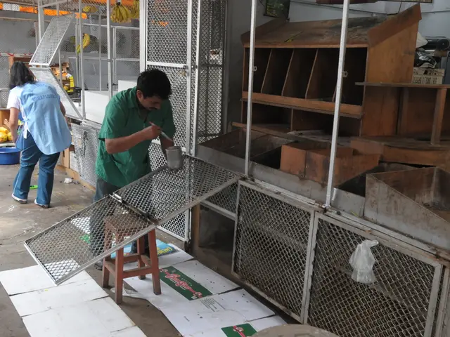 Is sage green the trending neutral hue for kitchen cabinets? Here's the argument for its timeless...