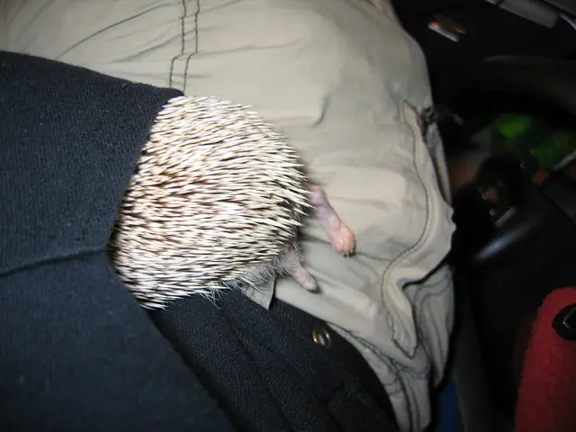 Redesigned Essentials Hoodie now available: A newer version of the Essential Hoodie for an upgraded...