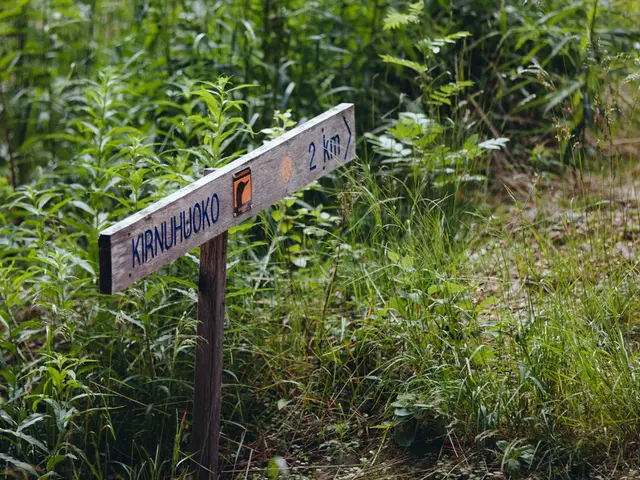 Efficient irrigation guide: Top soil moisture meters of 2025