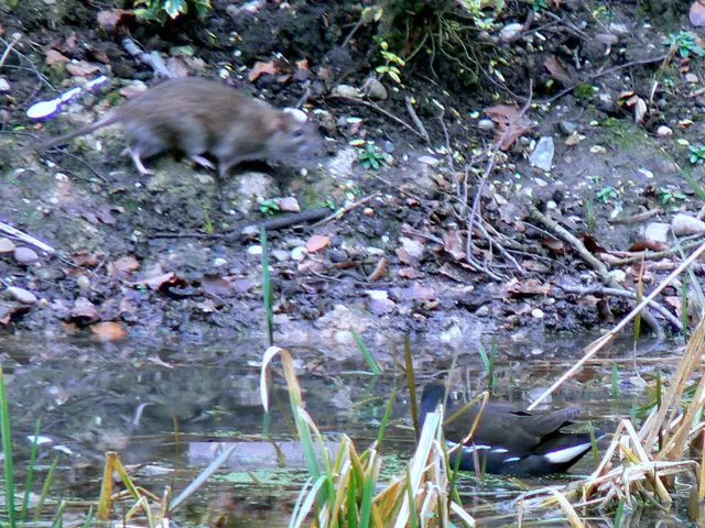 Permanent Elimination of Waste: A Guide