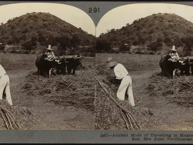 Alpine summer is winding down
