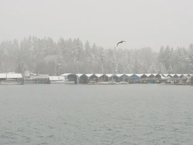 Visitors Enjoying Harburg City Park in Winter