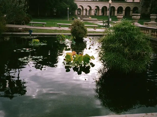 Gathering Invitation for an Open Stroll at the Education Centre within Wasserburg Haus Graven