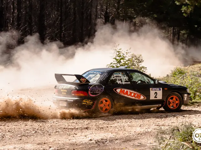 In the picture there is a car on the road, beside the car there is a smoke dust, there are trees.