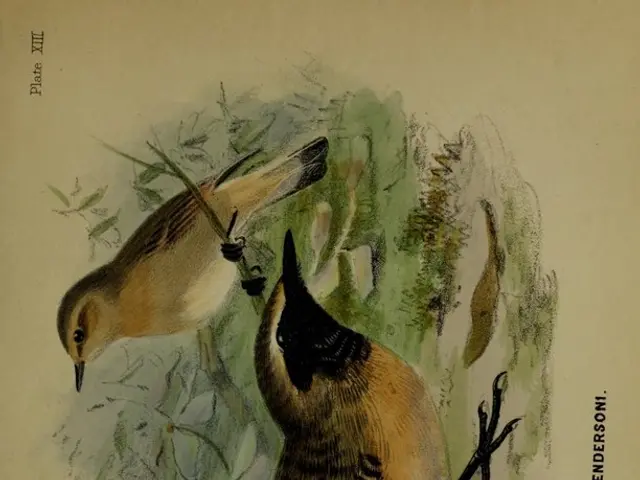 In this picture we can see a bird art here, on the right side we can see some text.