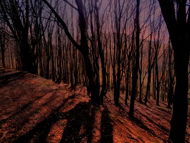 In this image we can see shredded leaves, twigs, trees, hills and sky.