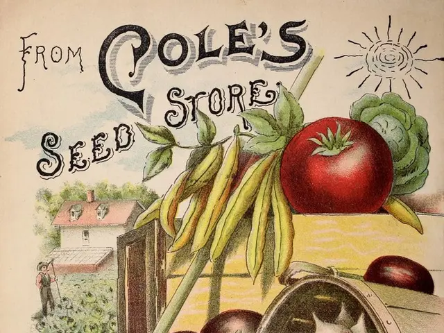 In the picture we can see a poster printed with some fruits, vegetables in the basket and besides...