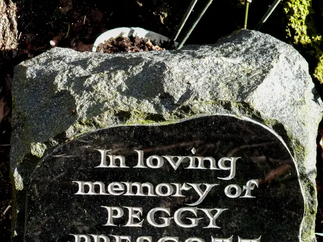 In the picture there is some text present on the stone, there are some dried twigs and small plants...