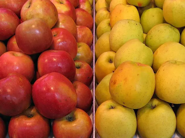 In this image, I can see two types of apples kept in a box. This picture might be taken in a shop.