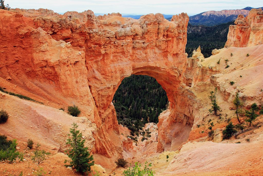 Pay a scheduled visit or extend a home invitation to dearest family members or friends.