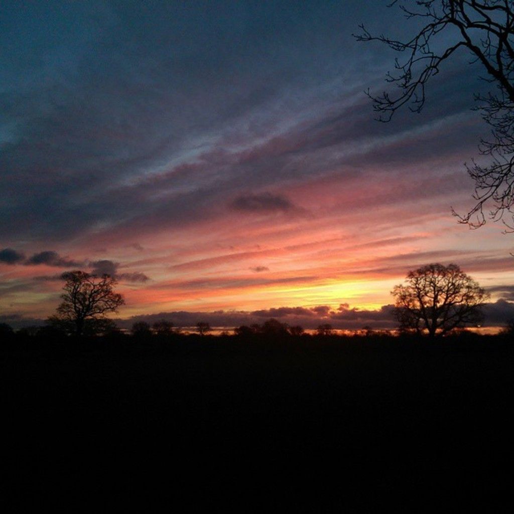 Take a break for Pentecost: three days of leisure! Immerse yourself in something enchanting! B.Z....